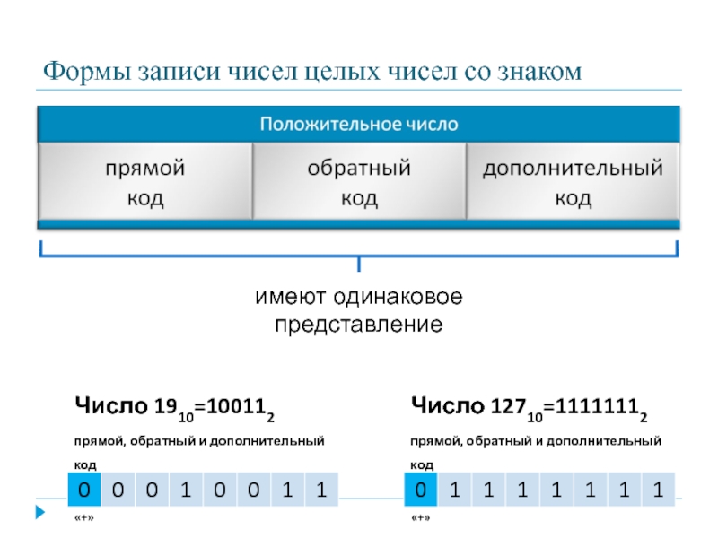 10 класс представление чисел в компьютере презентация