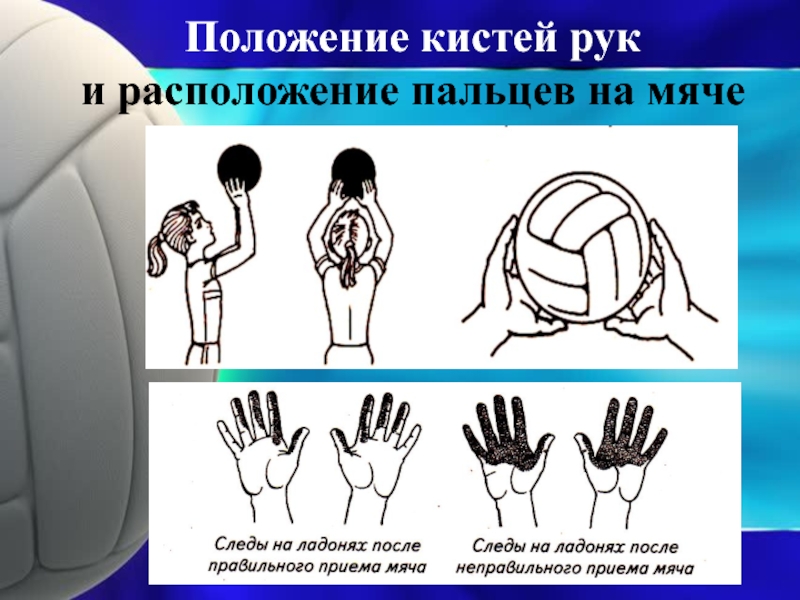 Местоположение рук. Положение кистей рук и расположение пальцев на мяче. Расположение рук на мяче волейбол. Положение кистей рук в волейболе. Правильное расположение кистей и пальцев в волейболе.