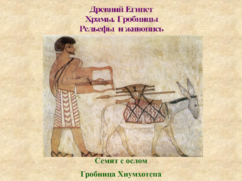 Гробница Хнумхотепа II схема. Древние семиты. Символы из гробницы Хнумхотепа II И их расшифровка.