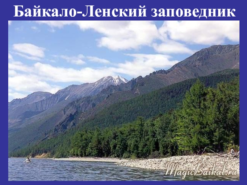 Ленский заповедник. Байкальский хребет. Байкало-Ленский заповедник. Заповедник Байкало Ленский озера Байкала. Байкало джугджурская.