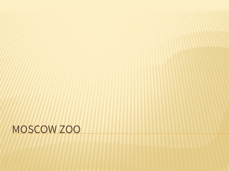 Презентация Moscow Zoo