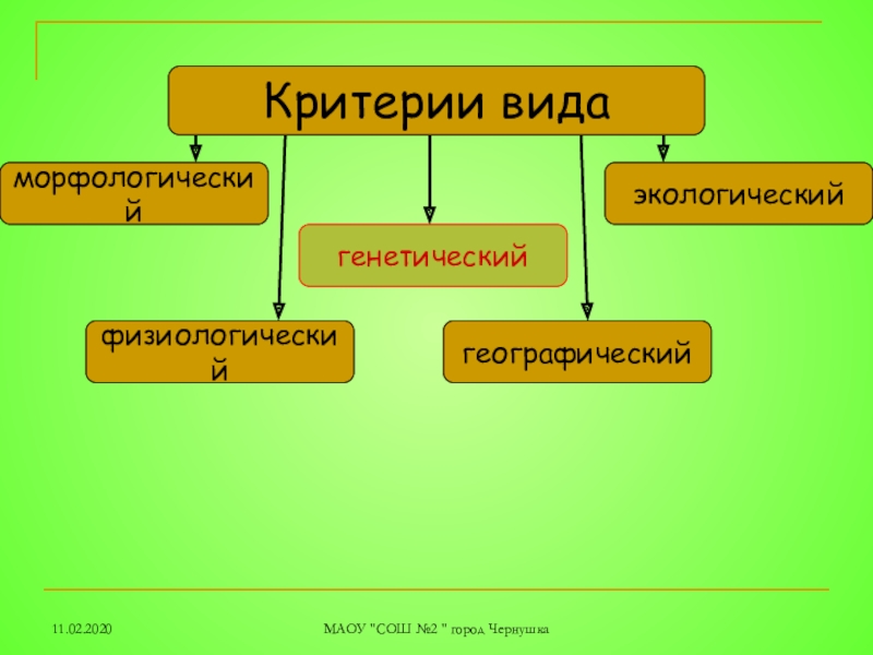 Вид состоит из. Экологический морфологический физиологический критерий вида. Экологический физиологический и генетический критерии. Критерии вида морфологический генетический. Экологический критерий вида обезьян.