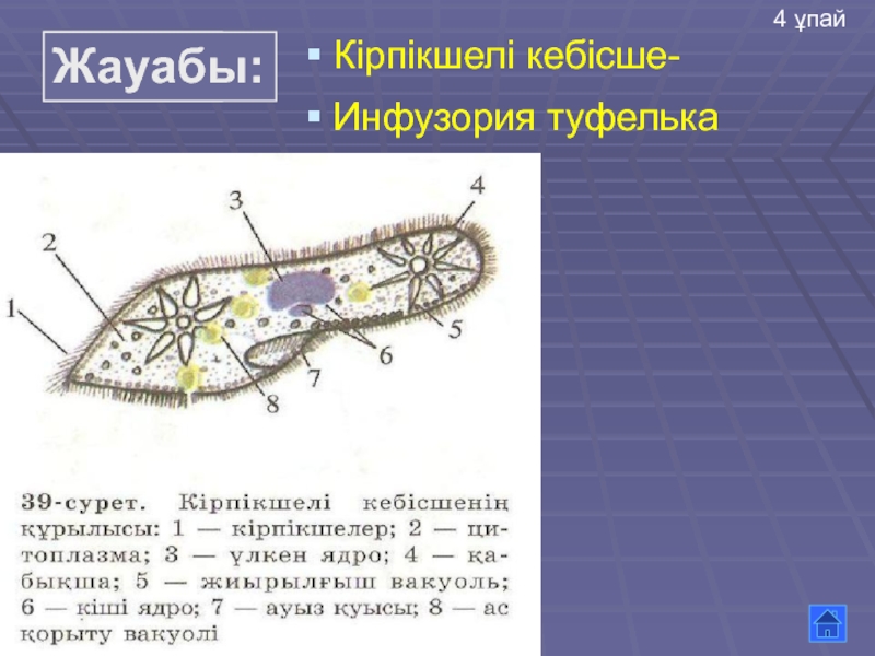 Хемотаксис инфузории туфельки