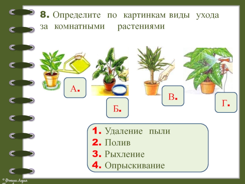 Выберите растения для тех