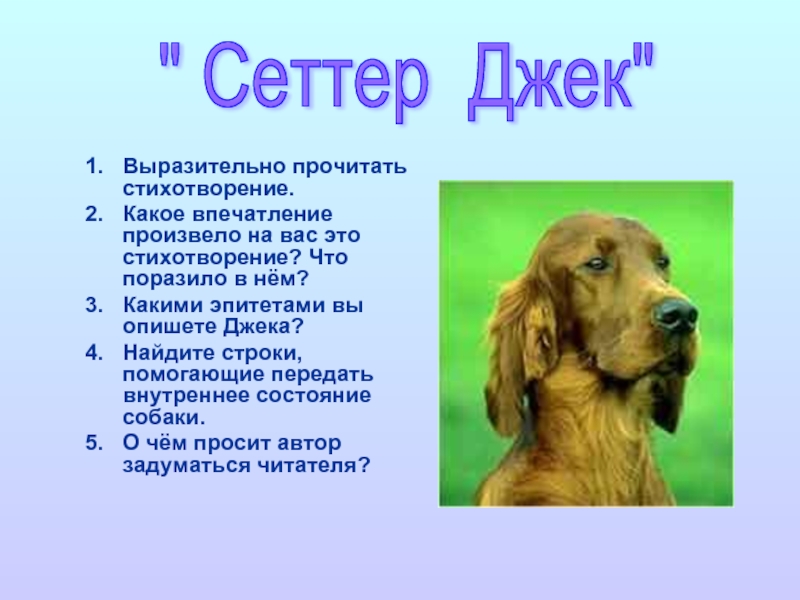 Эпитеты в песнь о собаке. Какое впечатление произвело на вас стихотворение. Внутреннее состояние собаки. Стихотворение песнь о собаке. Впечатление о стихотворении песнь о собаке.