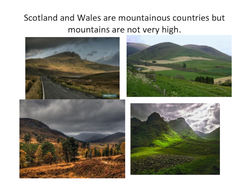 Scotland and Wales are mountainous countries but mountains are not very high.