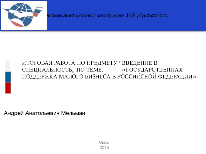 Омский авиационный колледж им. Н.Е.Жуковсокого
ИТОГОВАЯ РАБОТА ПО ПРЕДМЕТУ