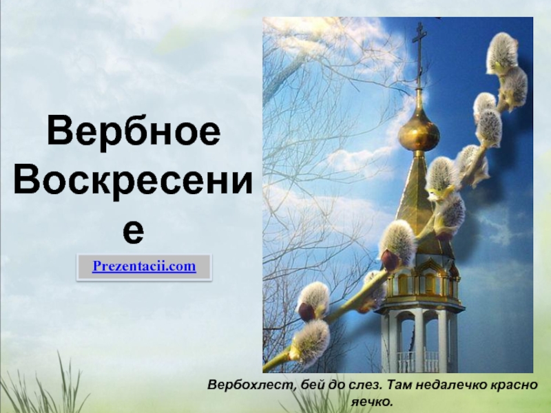 Реферат: Праздник вербы в Москве