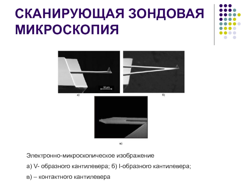 Методы сканирующей микроскопии. Сканирующая зондовая микроскопия изображение. Кантилевер в сканирующий туннельный микроскоп. Зондовая электронная микроскопия. Зондовая туннельная микроскопия.