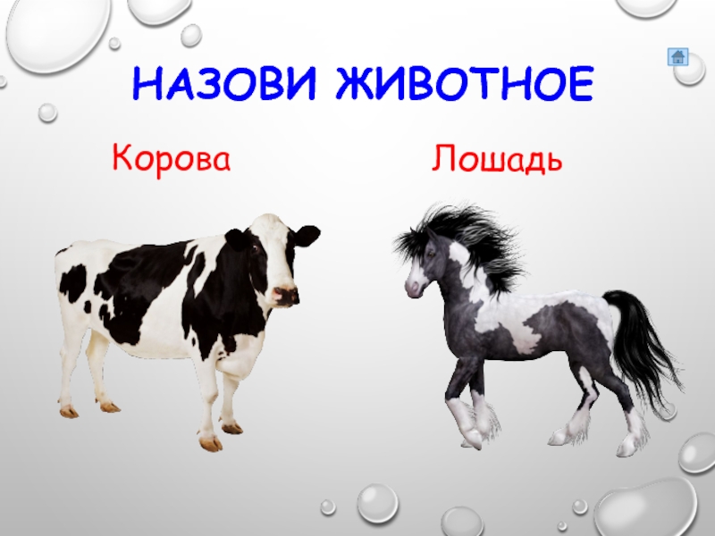 Домашние животные коровы лошади. Корова и лошадь. Назови домашних животных корова. Домашние животные корова лошадь. Корова лошадь сравнение.