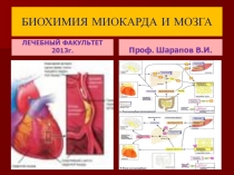 БИОХИМИЯ МИОКАРДА И МОЗГА