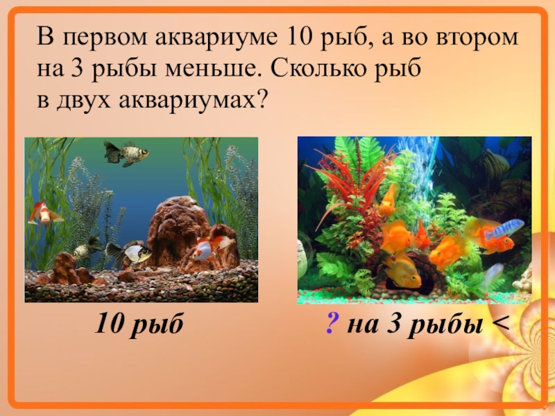 В 10 аквариумах было поровну рыбок. Задание по математике рыбки в аквариуме. Задача про рыбок 2 класс. Задача про аквариум 5 класс. Аквариум с одной рыбкой.