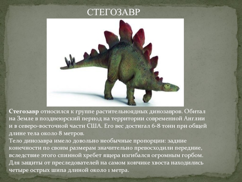 Стегозавр относился к группе растительноядных динозавров. Обитал на Земле в позднеюрский период на территории современной Англии и в