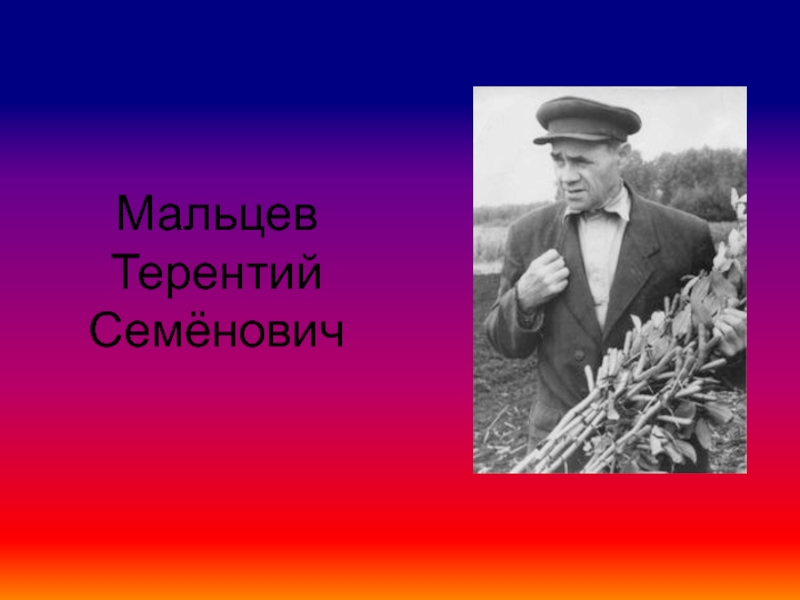 Мальцев Терентий Семёнович