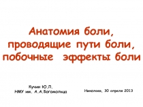 Анатомия боли 