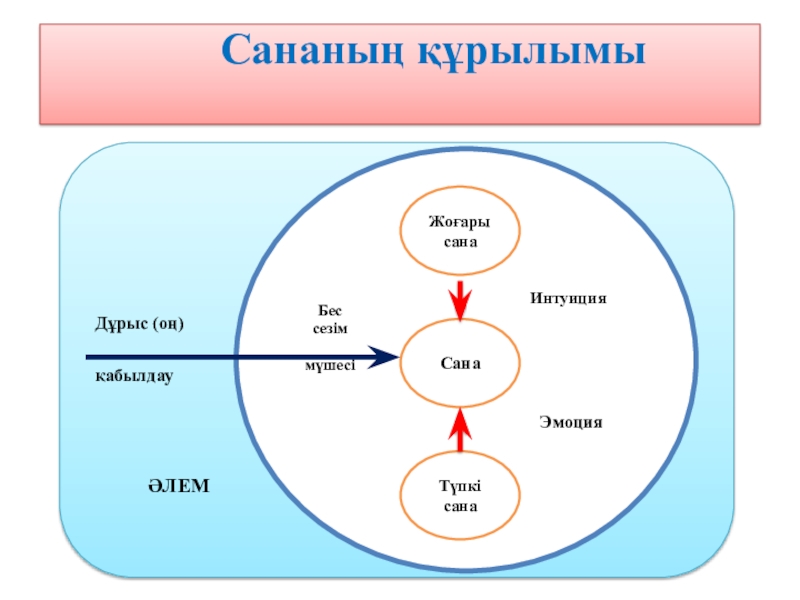 Түп сана. Сана дегеніміз не. Сана сезім. Сана философиясы. Түп Сана деген не.