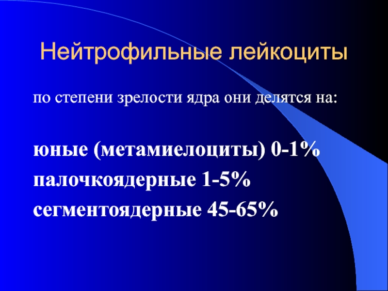 Степень зрелости 0. Лейкоциты по степени зрелости. Нейтрофильные лейкоциты. Полиморфноядерных лейкоцитов. Полиморфно ядкрные лейкоциты.