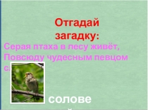 Отгадай загадку:
Серая птаха в лесу живёт,
Повсюду чудесным певцом