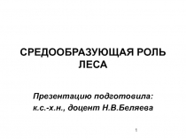 Средообразующая роль леса 