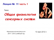 Общая физиология сенсорных систем