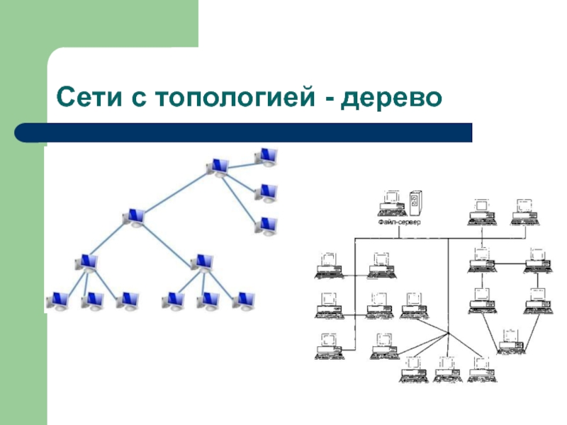 Схема топологии дерево