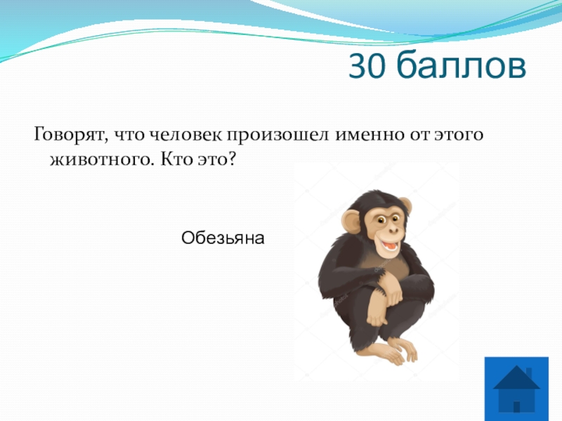 Конец для презентации обезьяна. Последний слайд с обезьяной. Чтобы сказала обезьяна человеку. Обезьяна словарное слово презентация.