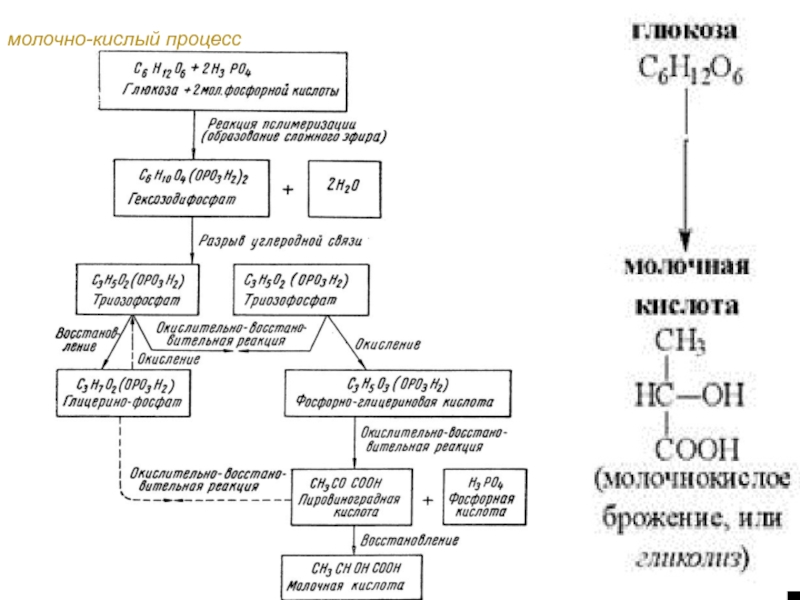 Молочная кислота процесс