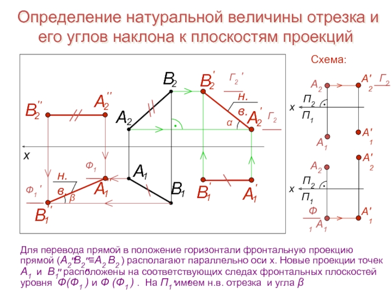 В натуральную величину проецируется плоскость на рисунке