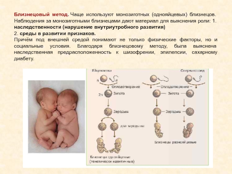 Близнецовый метод картинки для презентации