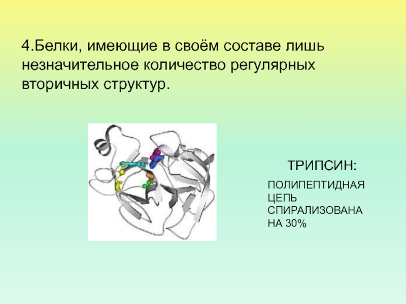 Белок имеет. Трипсин структура белка. Белки имеют следующие структуры. Трипсин функция белка. Трипсин полипептидные цепи.