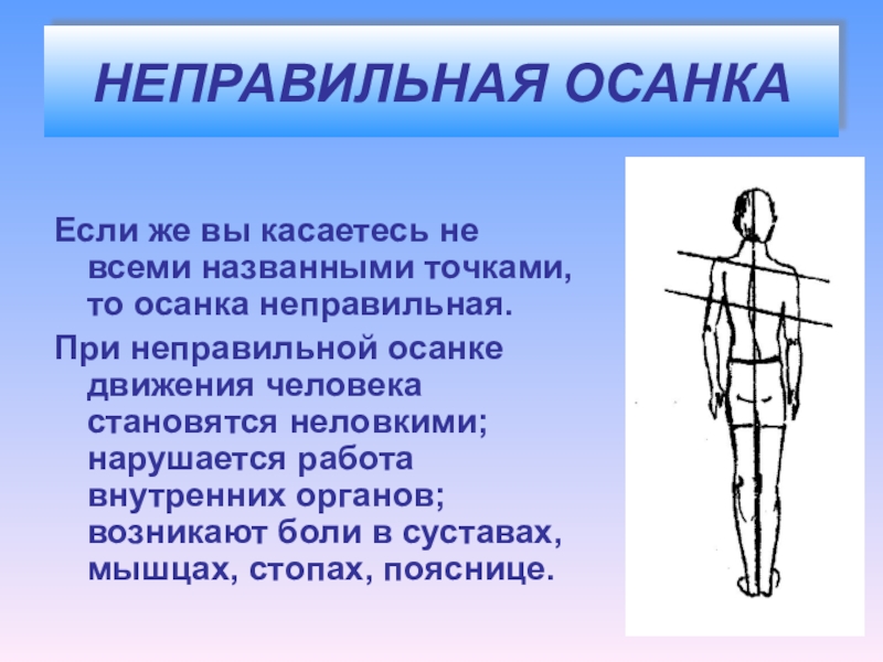 Что такое осанка. Осанка человека. Правильная осанка. Неправильная осанка. Сообщение о осанке.