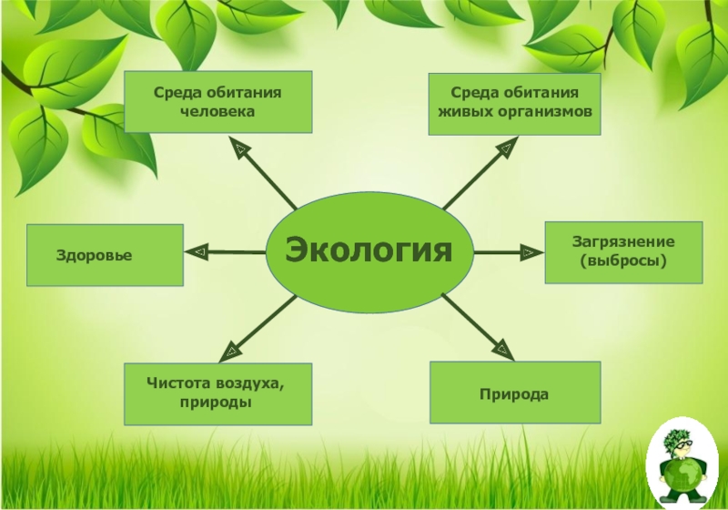 Индивидуальный проект 11 класс на тему экология