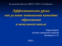 Презентация доклада Эффективность урока как условие повышения качества образования в начальной школе