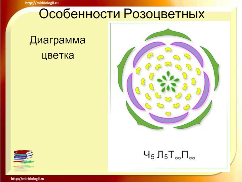 Диаграмма цветка обозначения