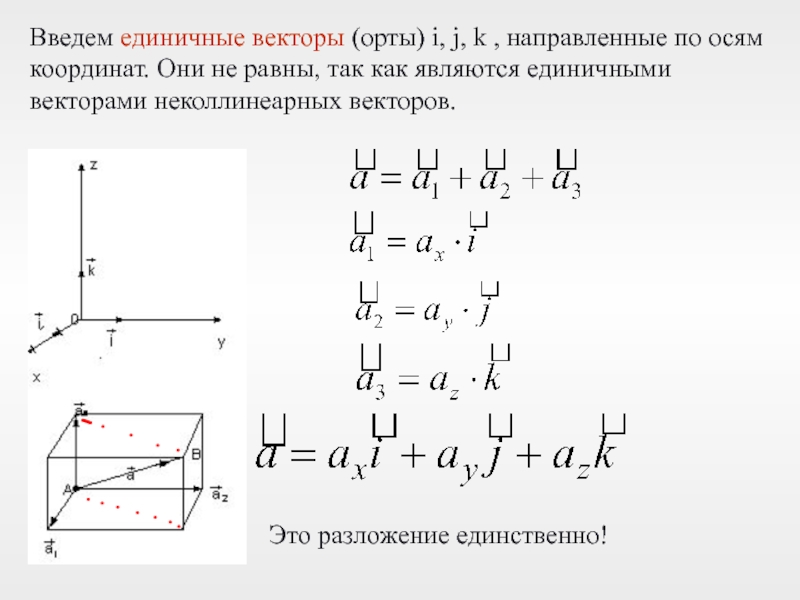 Орта оси