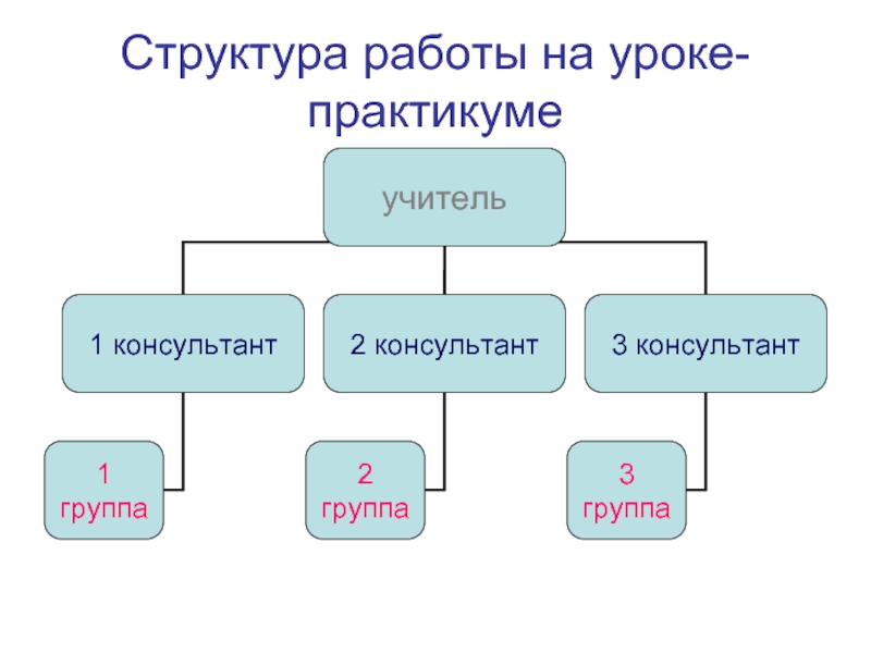 Структура биологии
