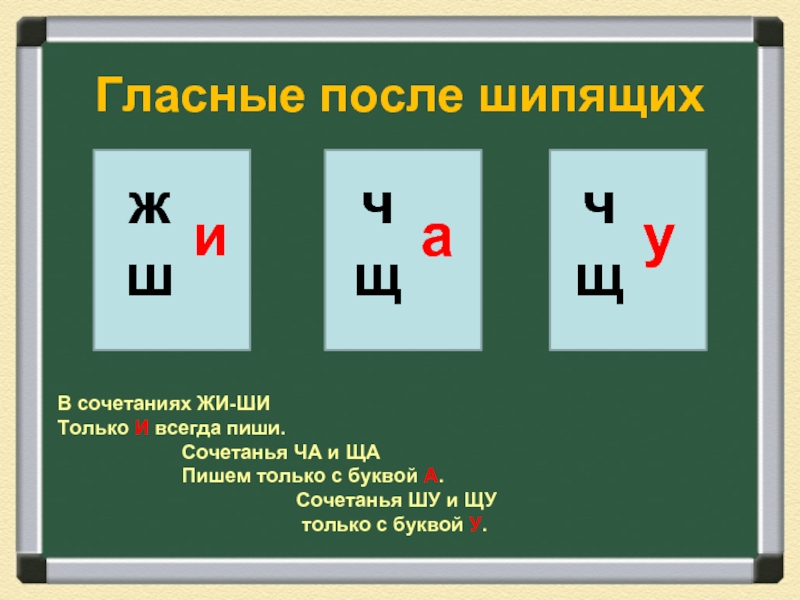 После каких букв пишется. Гласнеые послешипящих. Правописание шипящих с гласными буквами. Гласные после шипящих. Буквы гласных после шипящих.