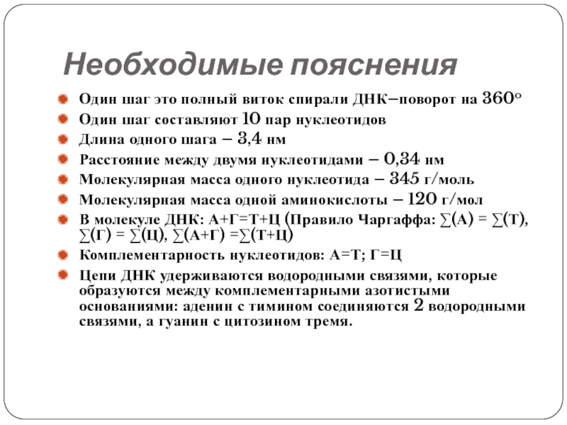 Составляющие 10. Молекулярная масса ДНК человека. Средняя молекулярная масса нуклеотида. Относительная молекулярная масса нуклеотида. Решение биохимических задач.