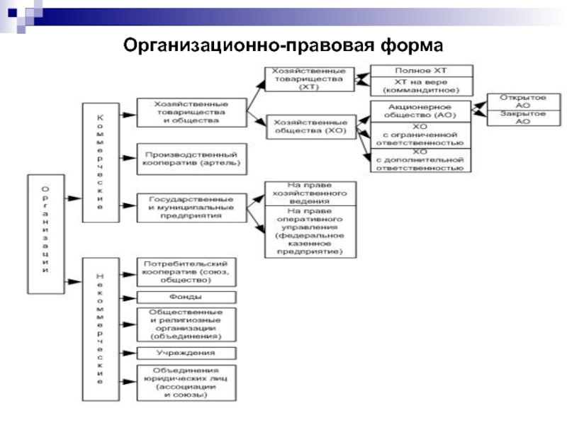 Организационно правовые документы определение