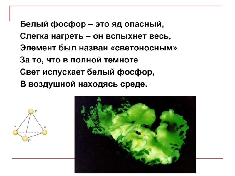 Можно фосфор. Белый фосфор. Белый фосфор ядовит. Белый фосфор последствия.