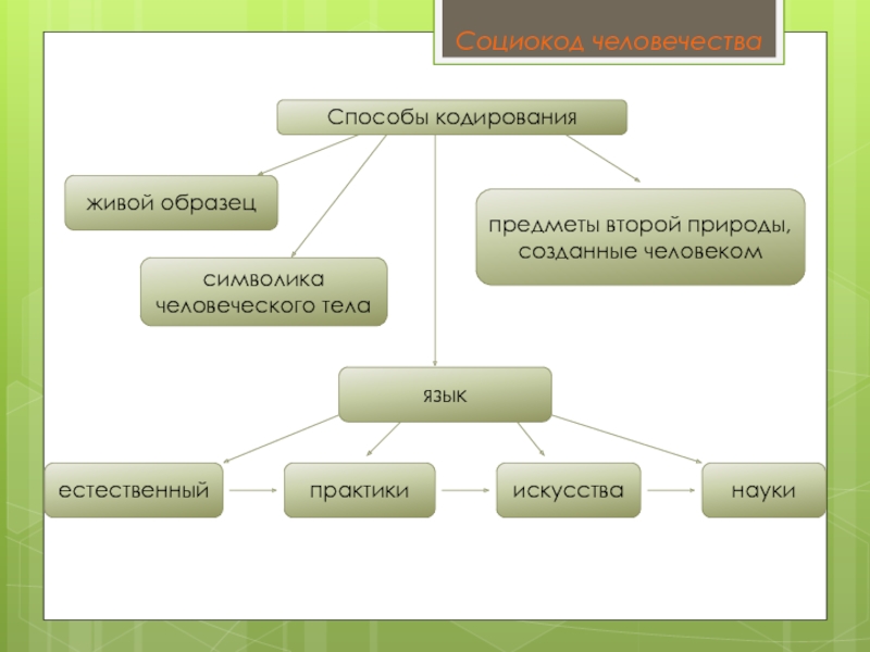 Первая и вторая природа