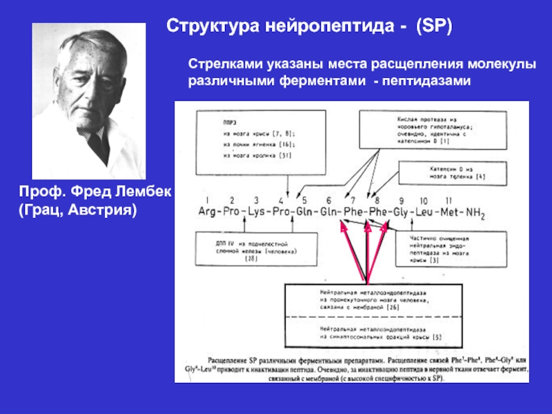 Расщепление молекул. Молекулярный расщепитель. Прибор расщепитель на молекулы. SP нейропептид это. Продукты распада нейропептидов.