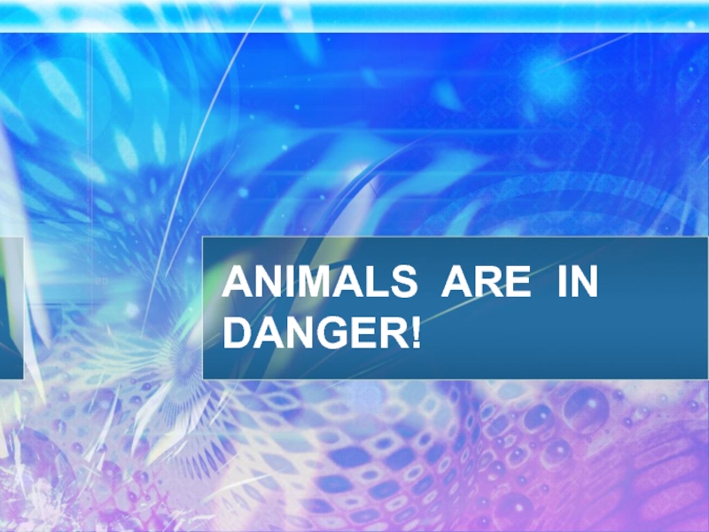 Презентация Animals are in danger!