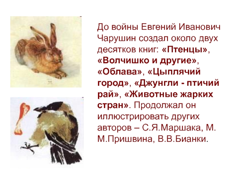 До войны Евгений Иванович Чарушин создал около двух десятков книг: «Птенцы», «Волчишко и другие», «Облава», «Цыплячий город»,