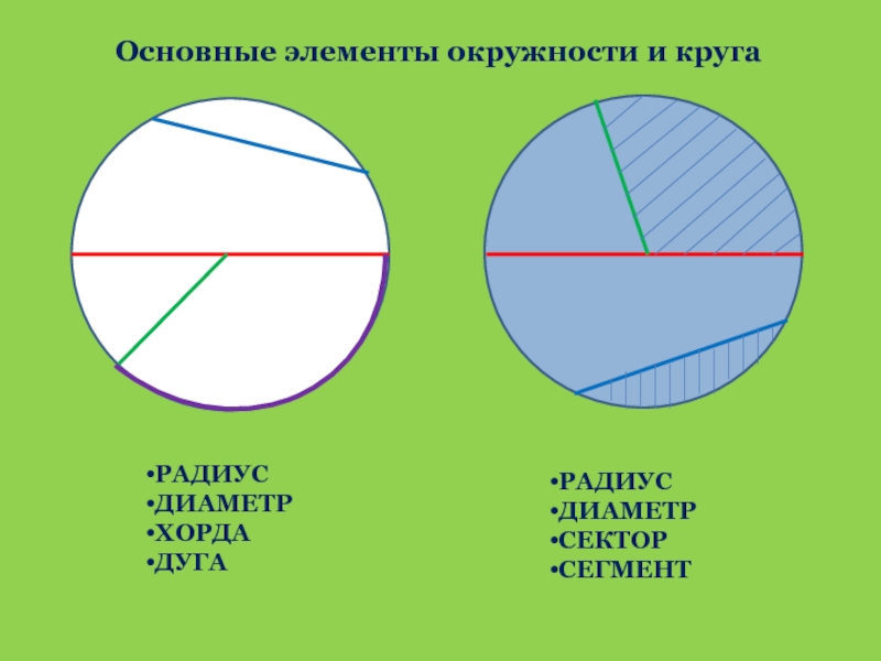 Сегмент. Элементы окружности. Элементы круга и окружности. Основные элементы окружности. Окружность основные элементы окружности.