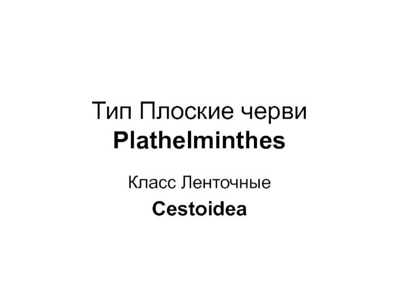 Тип Плоские черви Plathelminthes