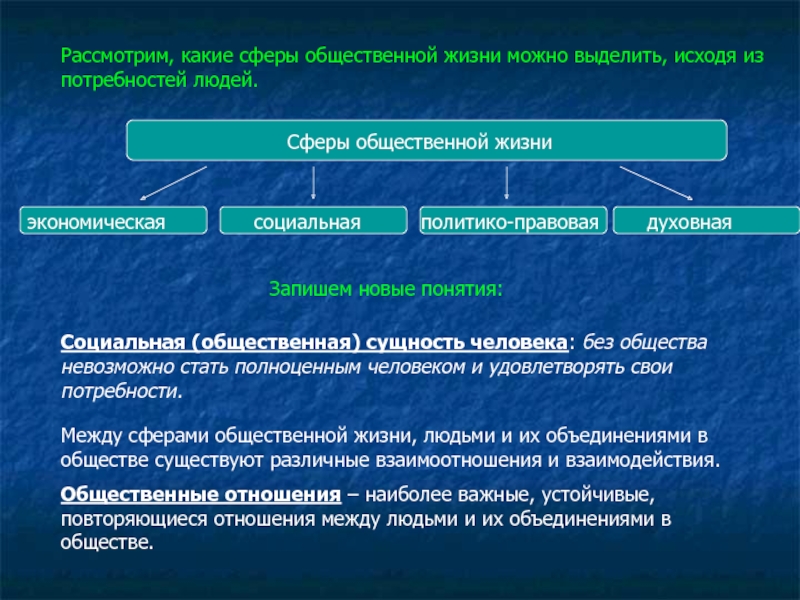 Сферы общественной жизни человека