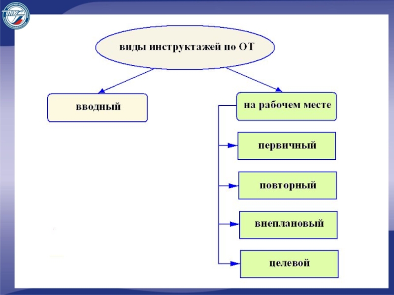 Виды инструктажа на предприятии кто и когда их проводит презентация