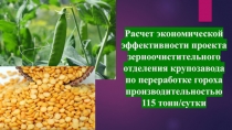 Расчет экономической эффективности проекта зерноочистительного отделения