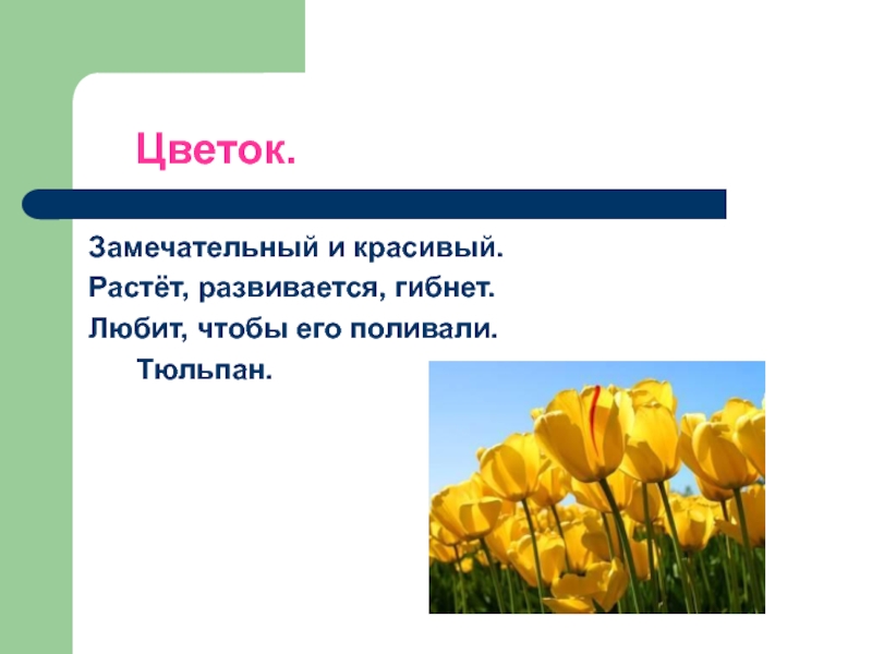 Синквейн аленький цветочек. Синквейн на тему цветок. Синквейн цветок. Синквейн растения. Синквейн к слову растение.